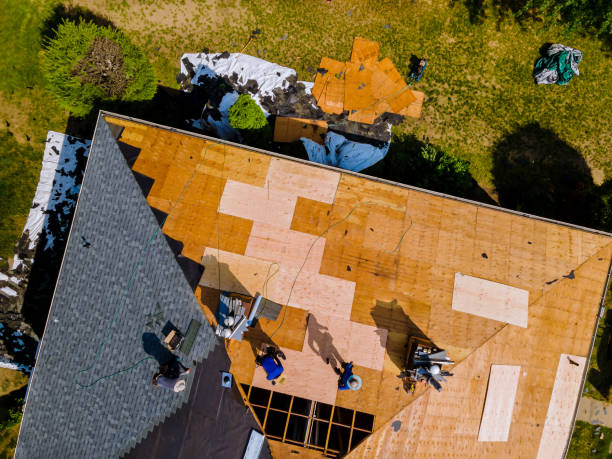 Best Roof Repair Services  in Preston Heights, IL